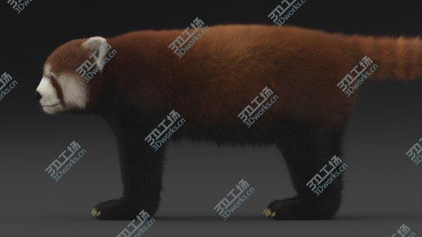 images/goods_img/20210312/Red Panda 3D/4.jpg